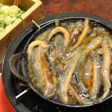 どぜう飯田屋