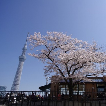 タリーズコーヒー 隅田公園店紹介画像