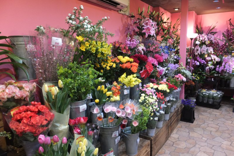 フラワーショップ はなうた 浅草店 浅草観光情報案内 浅草なび グルメやイベント Deepな情報も