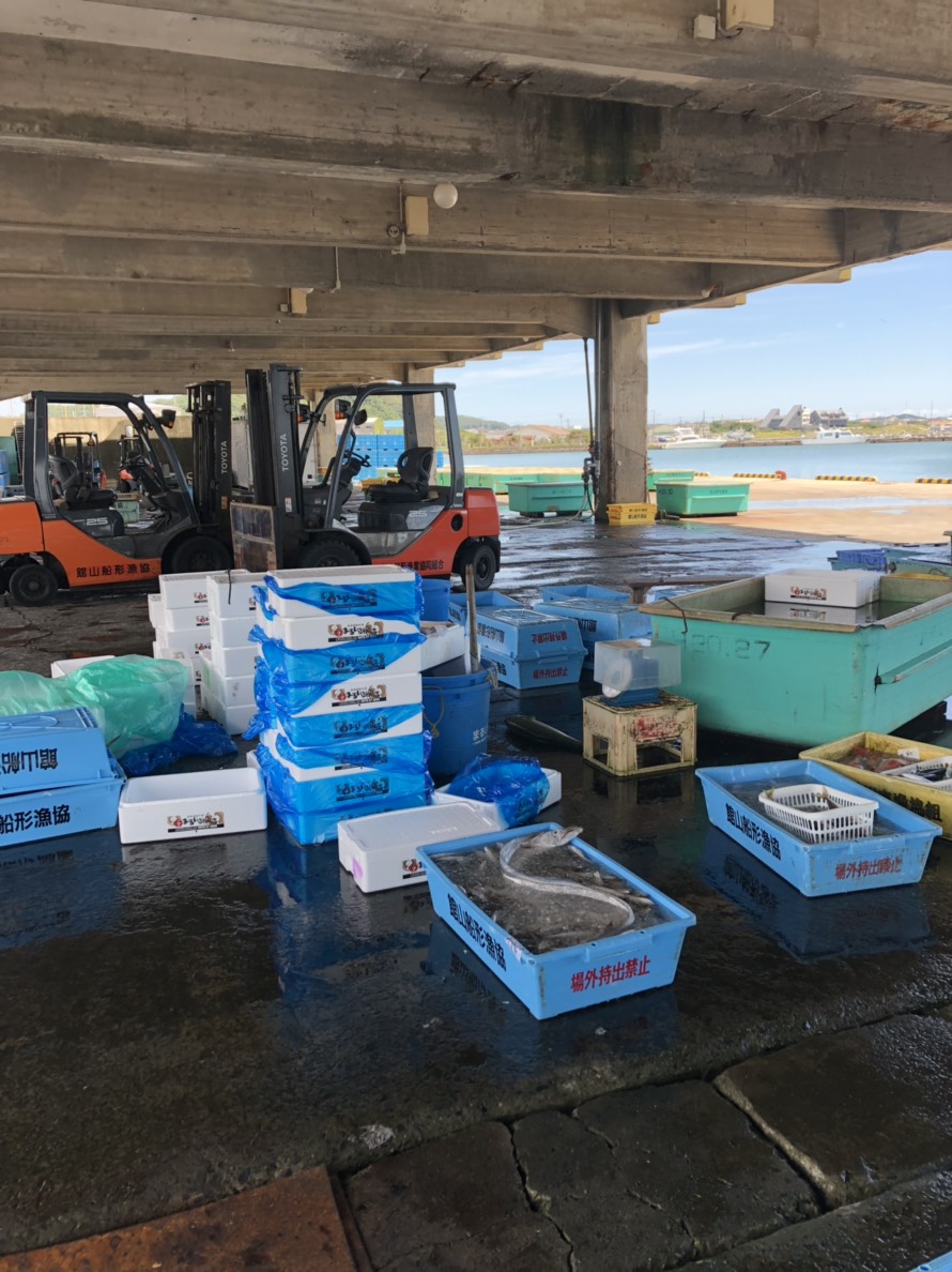 毎日、朝から素晴らしい朝獲れ鮮魚が豊漁です(^^)