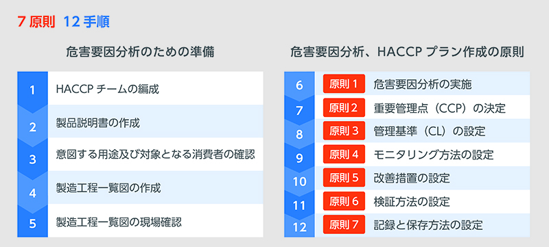 HACCP（ハサップ）の7原則12手順を解説