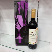 浅草カナリヤ　浅草バウンス